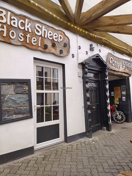 Hostel and coffee shack exterior at The Black Sheep Hostel & Coffee Shack in Killarney