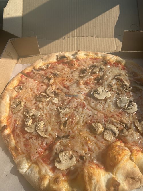 Vegan cheese with mushrooms  at Roman's Pizza House in Cape May