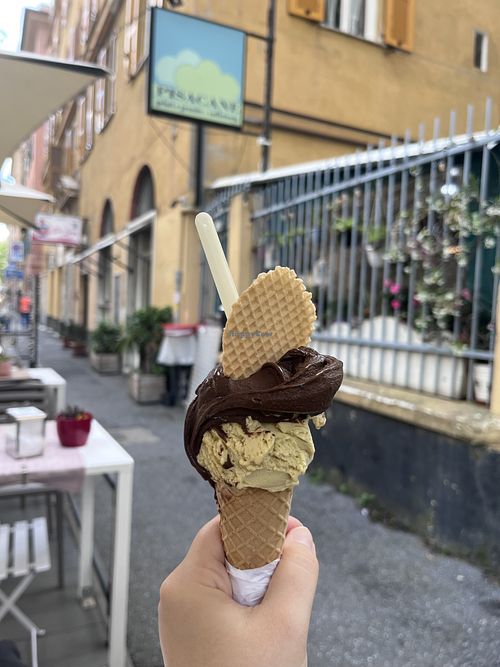   at Gelateria Pisacane in Genoa