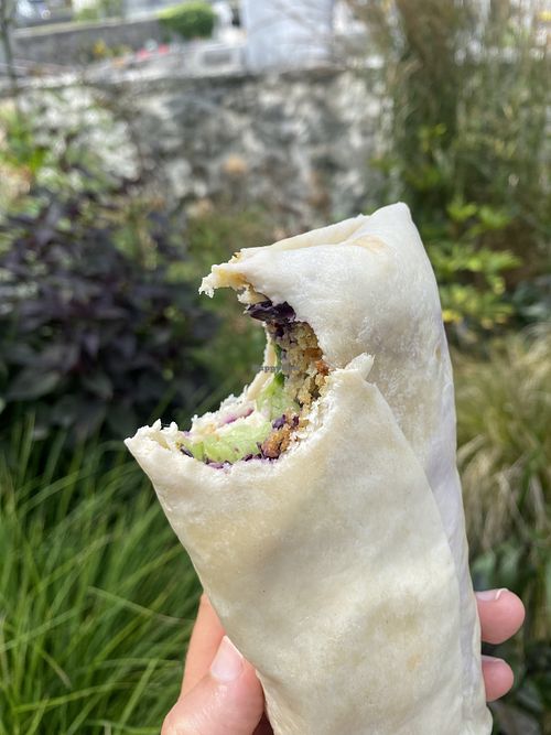 Wrap falafel pour le pique nique   at Refuge Le Peuty in Trient