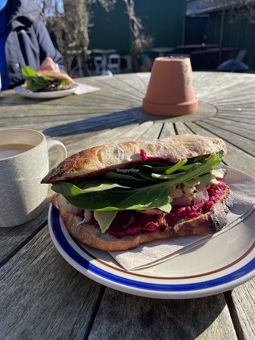 Veggie Sandwich made vegan  at Haven in Fanoe