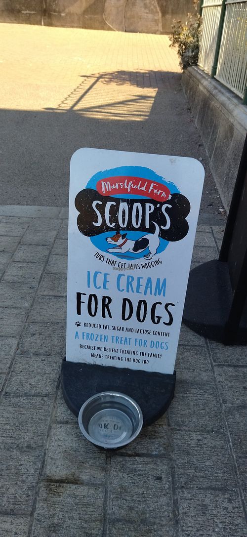 Ice cream for dogs at Bandstand Brighton in Brighton