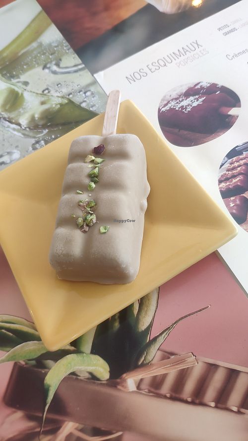 Pistache at La Cabosse Enchantée in La Rochelle