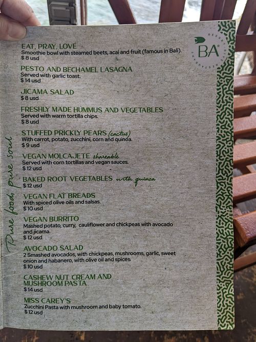 Vegan Menu at Blue Angel Restaurant in Cozumel