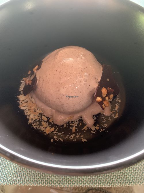 homemade vegan chocolate ice cream  at Lapa Rios Ecolodge in Puntarenas