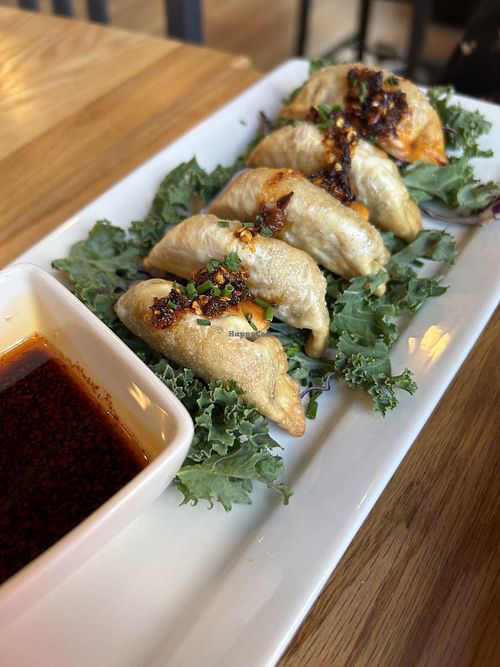 Dumplings   at Pure Kitchen - Rideau St in Ottawa