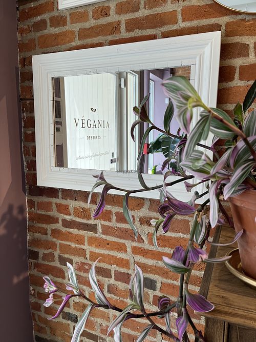 Image of Vegania Desserts