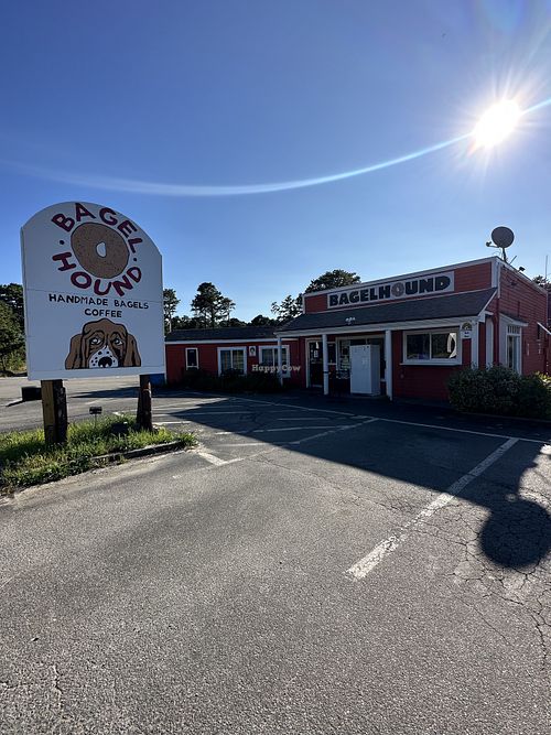 Bagel Hound Wellfleet Massachusetts Bakery HappyCow