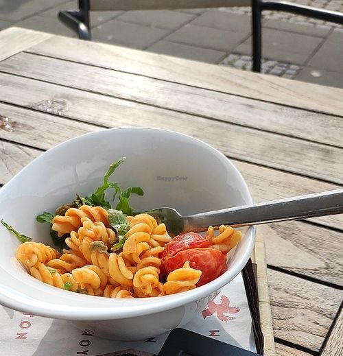 Veganer Pastasalat at Woyton in Oldenburg