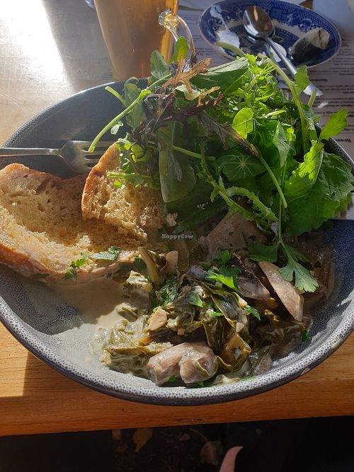 Wild mushrooms on sourdough at The Pack Horse Cafe in Bridport