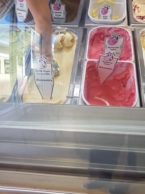 Vegan flavours at Mooranda's in North Shields