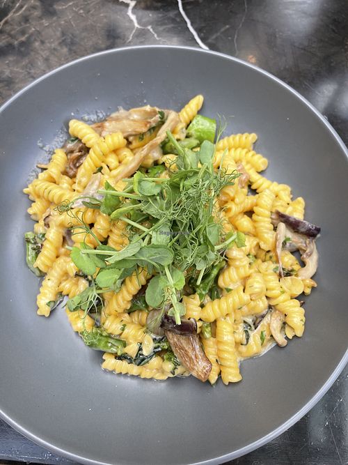 Vegan carbonaraa  at La Vecchia Scuola Italian Restaurant in York