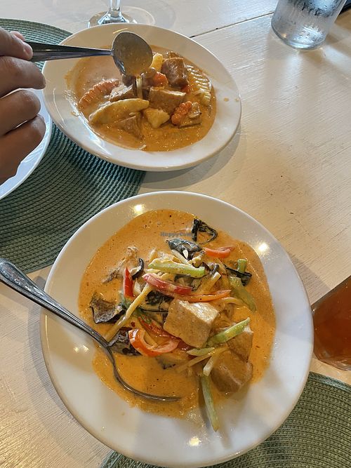 Massaman curry and red curry, both with tofu    at Swaddee Thai Restaurant in Coronado