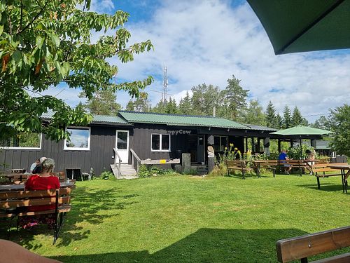 its super cozy from the inside and there is lovely greenery on the outside area at Big Hill Lodge in Filipstad