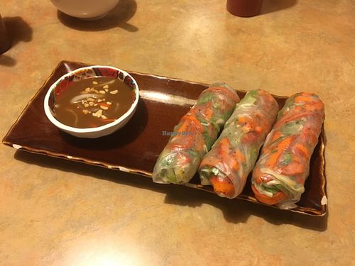 Spring Rolls - These were ok, we thought we were ordering egg rolls to be fair, we like the fried stuff! at Good Vibes in Huntington Beach