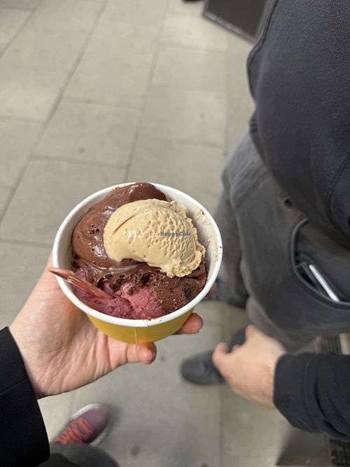 Das sind jetzt 3 1/2 Kugeln gewesen( die halbe Kugel hat die Bedienung zum probieren mit drauf aufs Haus mit drauf gemacht )   at Luicella's in Hamburg