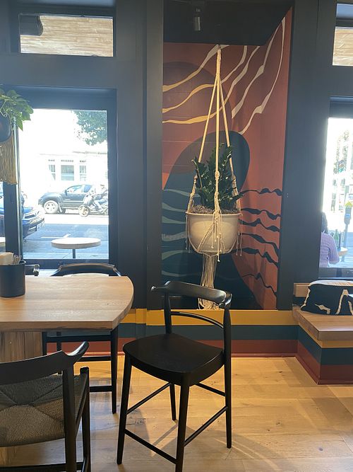 Indoor seating area w/Live Plants  at Rad Radish in San Francisco