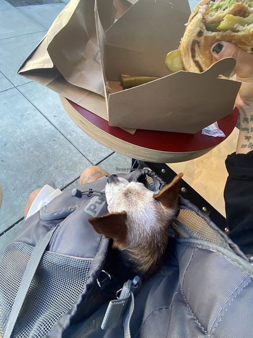 Frijol Sightseeing While I Inhaled My Food 😛  at Rad Radish in San Francisco