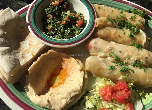 veggie cabbage roll plate! at Nunu's Mediterranean Cafe and Market in Oklahoma City