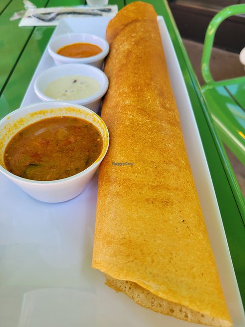 Masada Dosa at Tulsi Indian Eatery - Westwood in West Los Angeles