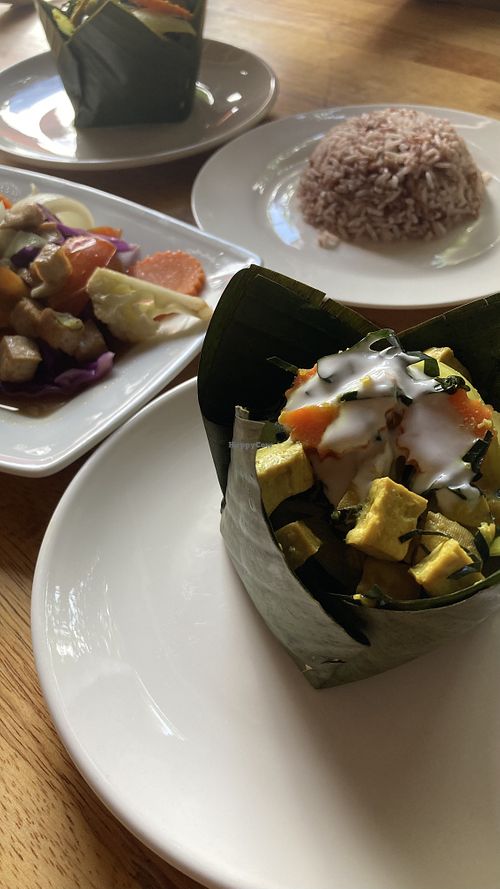 Vegan amok and rice  at Sambo in Siem Reap