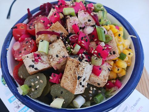 The tofu poke bowl, which was mainly rice & lettuce at Olla Beach Bar in Altea