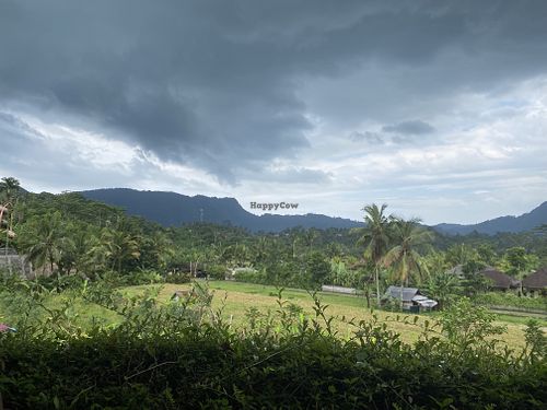 View from the restaurant   at Cepik Villa in Karangasem
