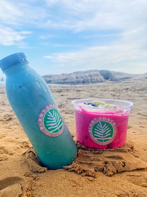   at PLANT SHACK - Calpe in Calpe