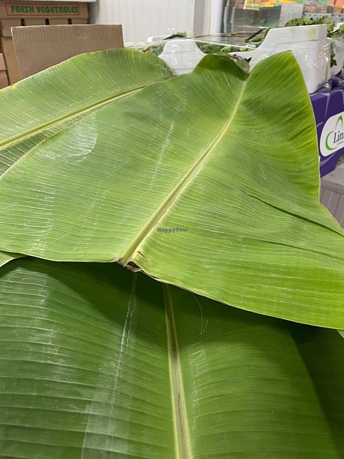  at Roti Shop in Oslo