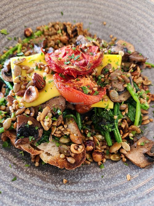 Vegan open toastie at Federal Diner in Wanaka