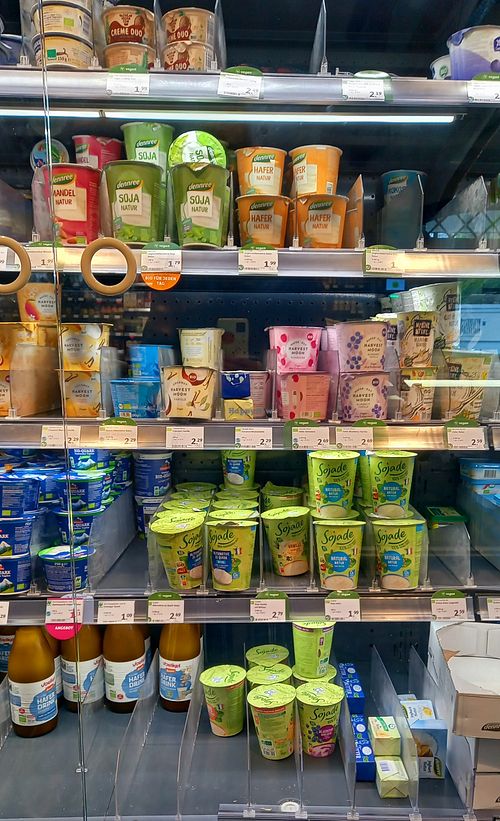 veganes joghurt at denn's Biomarkt in Speyer
