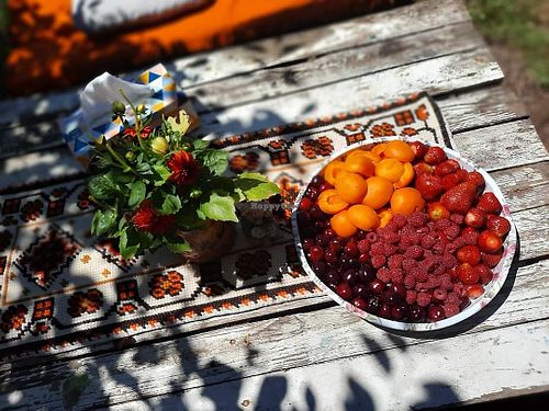 Fruits at Lotus Mellow in Valea Lunga