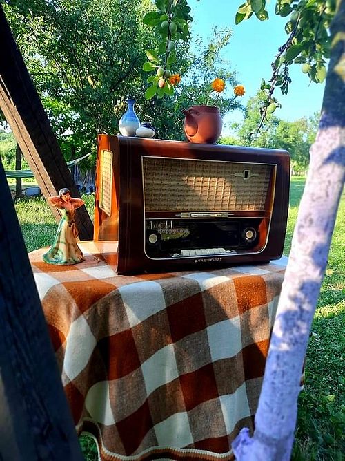 Antique  at Lotus Mellow in Valea Lunga