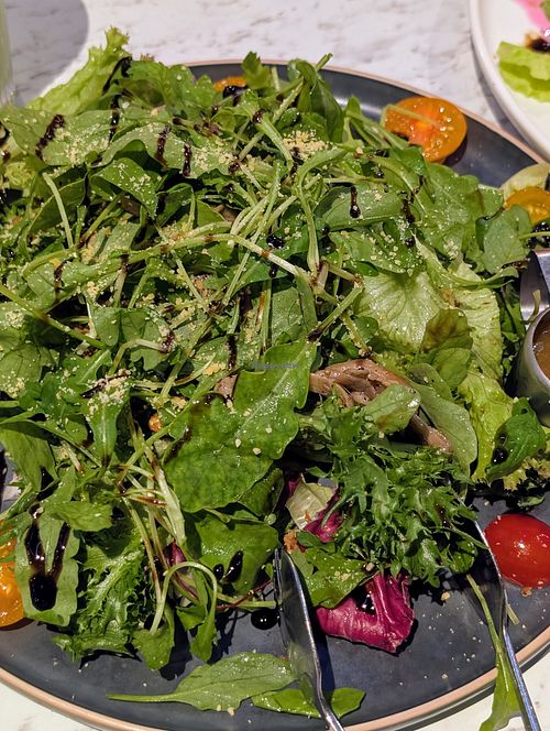 Warm mushroom and arugula salad at Vegan Amore 蔬慕 in Taipei