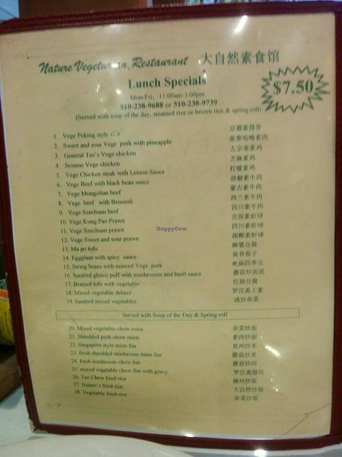 Lunch special at Nature Vegetarian Restaurant in Oakland