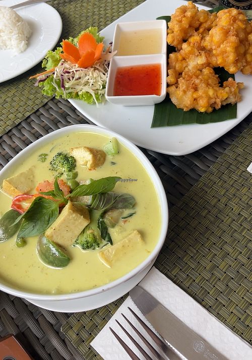 Green Curry mit Tofu  at Coco Palm Beach Resort in Koh Samui