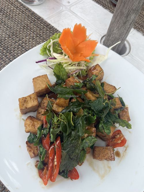   at Coco Palm Beach Resort in Koh Samui