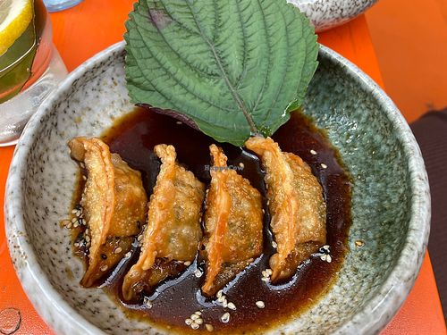 Gyoza  at Beyond Ramen in Berlin