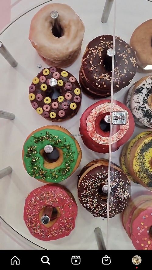 Image of Divina Berlina