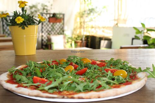 Vegan Pizza at Angelina in Genoa