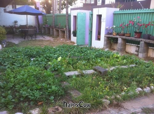 Garden at Jardin Verde in Santo Domingo