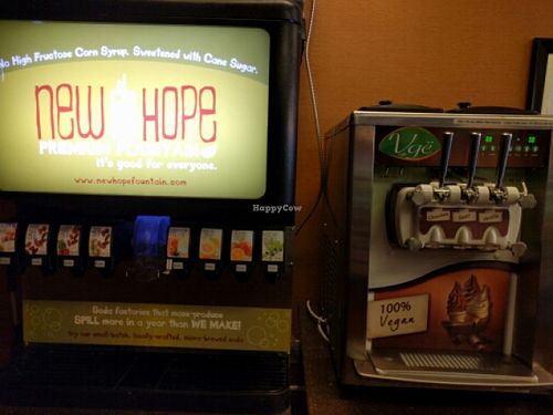 drinks and ice cream at Vge Cafe in Bryn Mawr