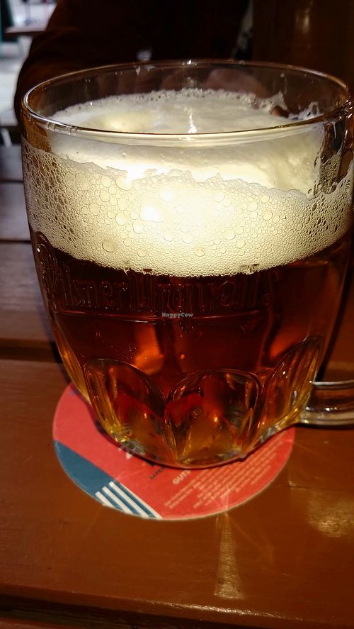 Pilsner Urquell at Zeus Pizza in Berlin