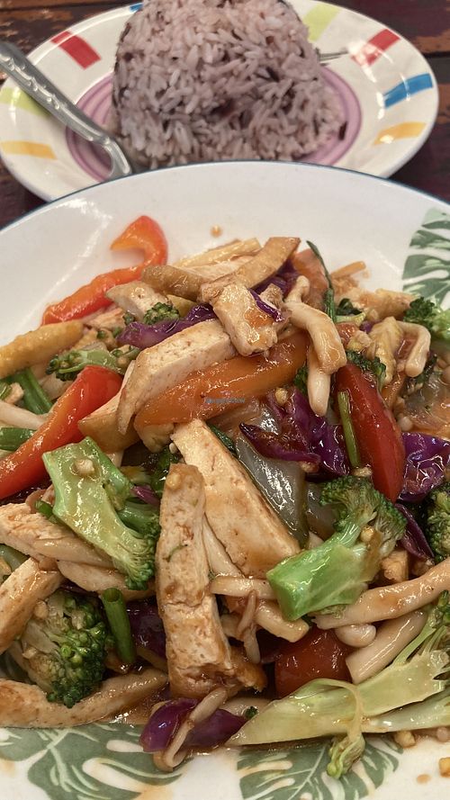 Tofu and fried veggies with rice!  at 17 Vegetarian Food Stall in Koh Phangan