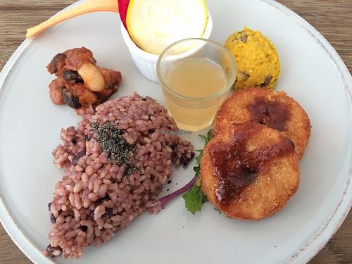 Today's deli plate at Chaya Macrobiotics - Shiodome in Tokyo