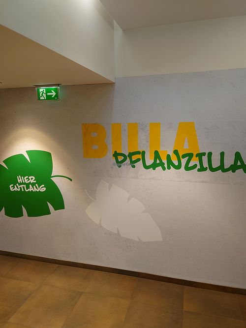 Downstairs the entrance at Billa Pflanzilla in Vienna