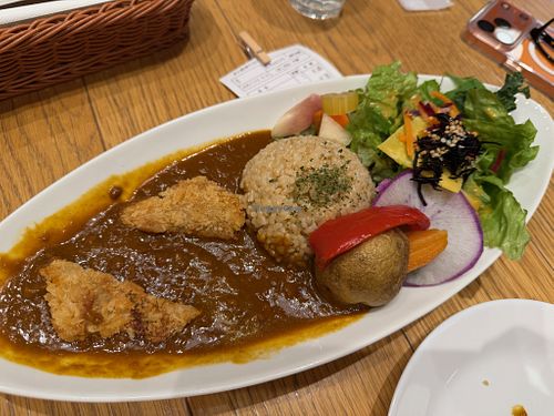 Partially consumed 😅 at Chaya Macrobiotics - Hibiya in Tokyo