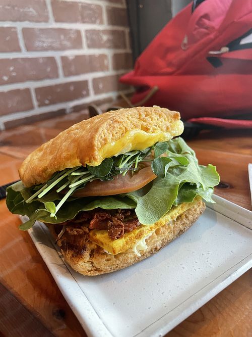 Breakfast biscuit   at Yates Coffee Bar in Victoria