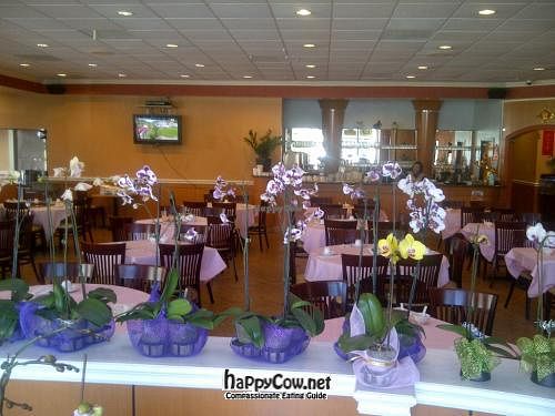 Interior at Lunar Feast in Arcadia