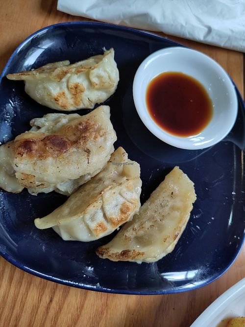 Dumplings at ZenV Garden  in Gloucester